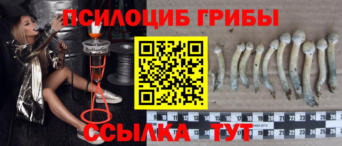 Псилоцибиновые грибы прущие грибы Касимов
